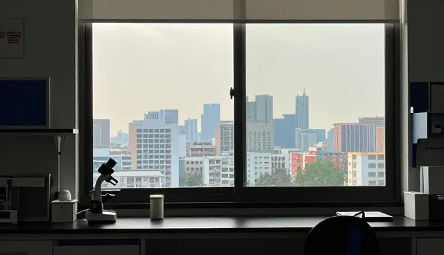 企业管理系统性能优化的五大检查要点